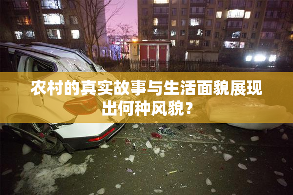 农村的真实故事与生活面貌展现出何种风貌？