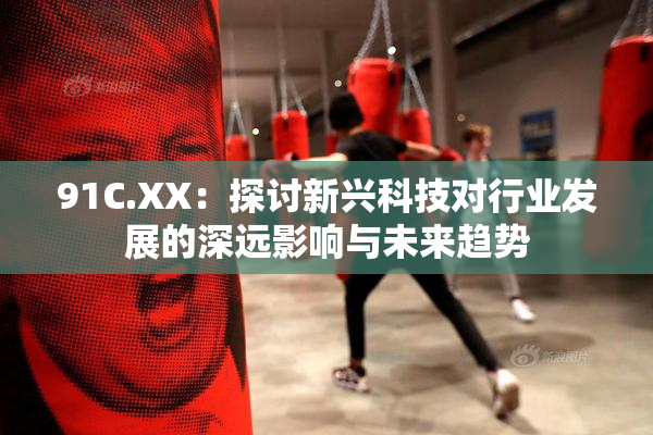 91C.XX：探讨新兴科技对行业发展的深远影响与未来趋势