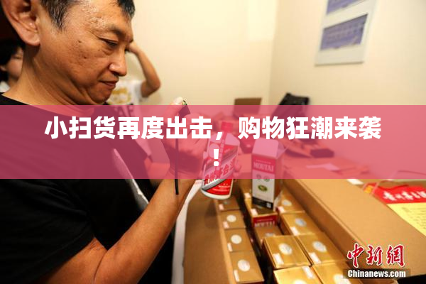 小扫货再度出击，购物狂潮来袭！