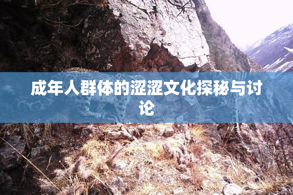 成年人群体的涩涩文化探秘与讨论