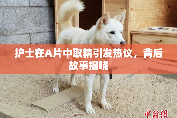 护士在A片中取精引发热议，背后故事揭晓