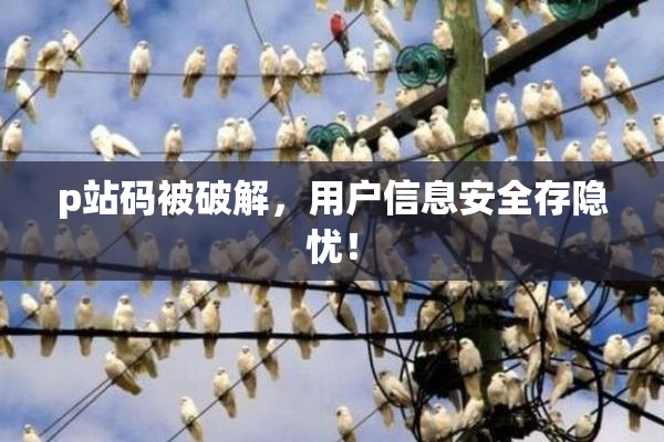 p站码被破解，用户信息安全存隐忧！
