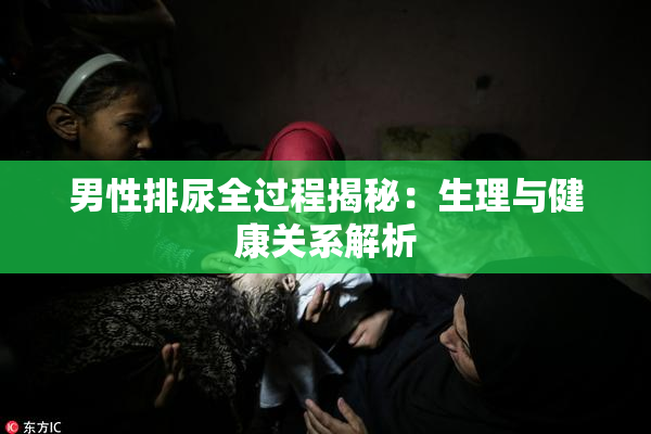 男性排尿全过程揭秘：生理与健康关系解析