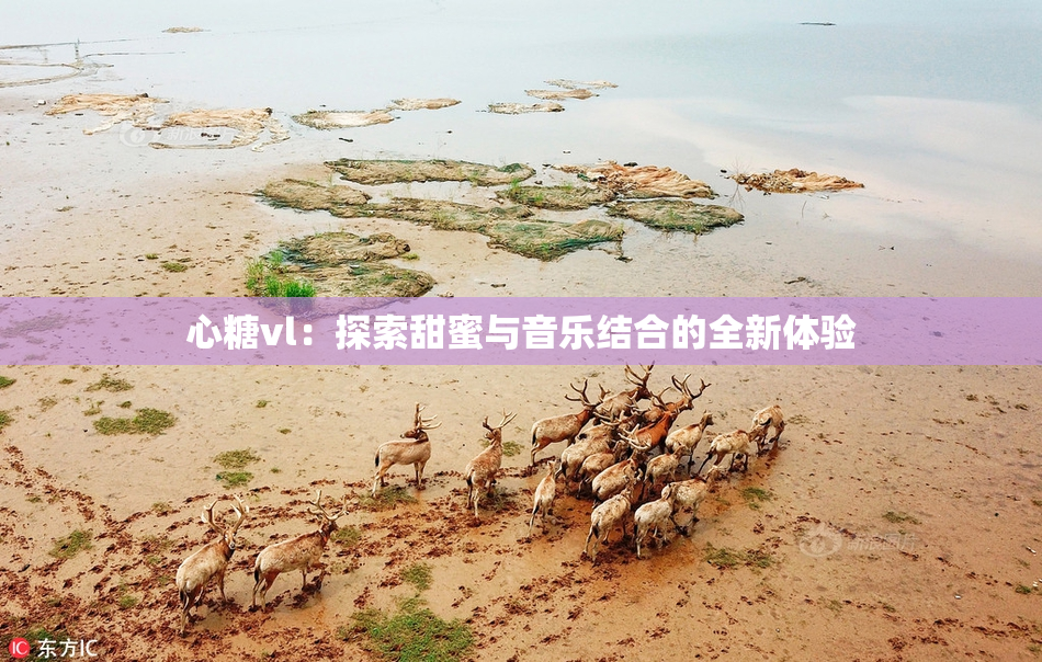 心糖vl：探索甜蜜与音乐结合的全新体验