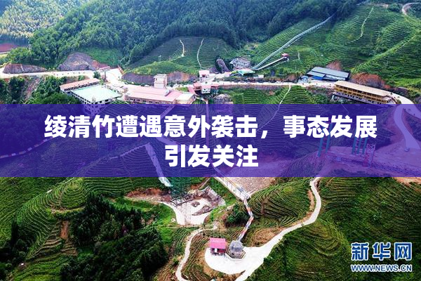 绫清竹遭遇意外袭击，事态发展引发关注