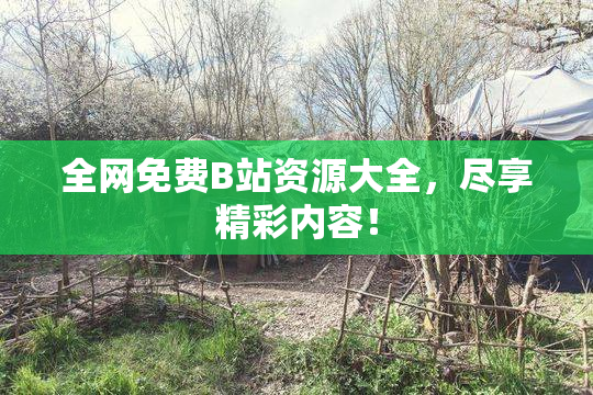 全网免费B站资源大全，尽享精彩内容！