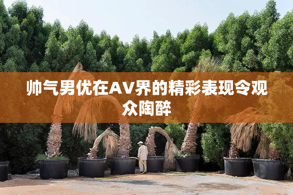 帅气男优在AV界的精彩表现令观众陶醉