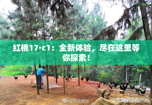 红桃17·c1：全新体验，尽在这里等你探索！