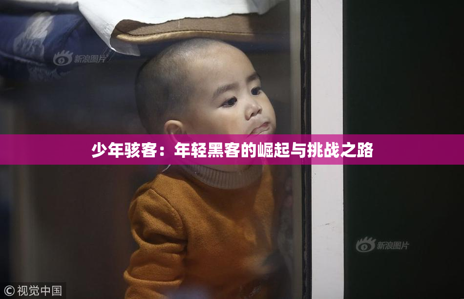 少年骇客：年轻黑客的崛起与挑战之路