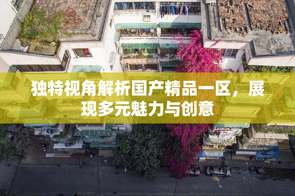 独特视角解析国产精品一区，展现多元魅力与创意