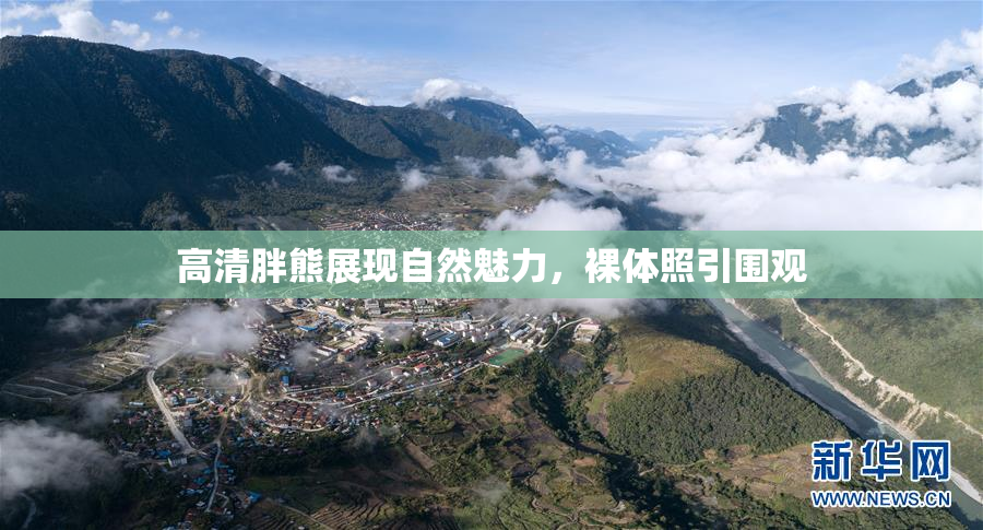 高清胖熊展现自然魅力，裸体照引围观