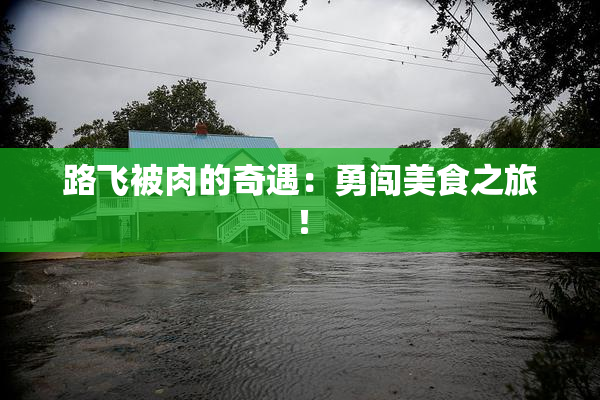 路飞被肉的奇遇：勇闯美食之旅！