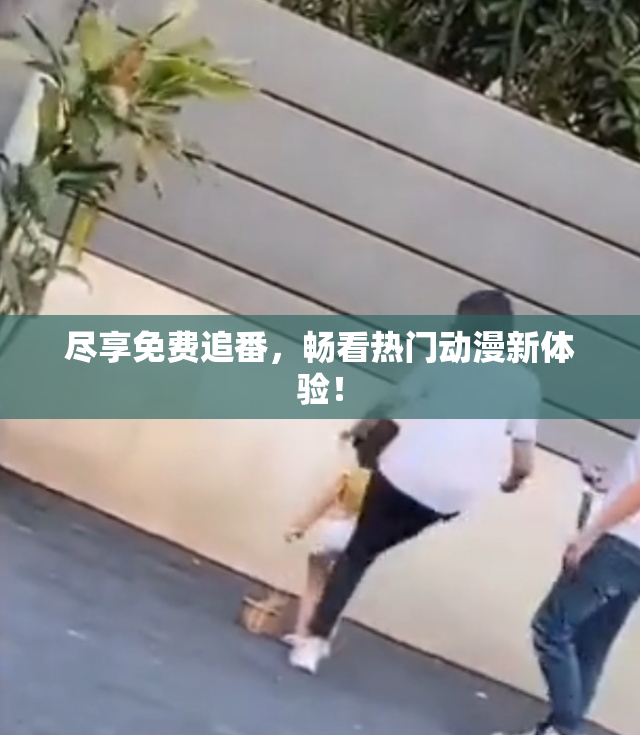 尽享免费追番，畅看热门动漫新体验！