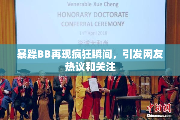暴躁BB再现疯狂瞬间，引发网友热议和关注