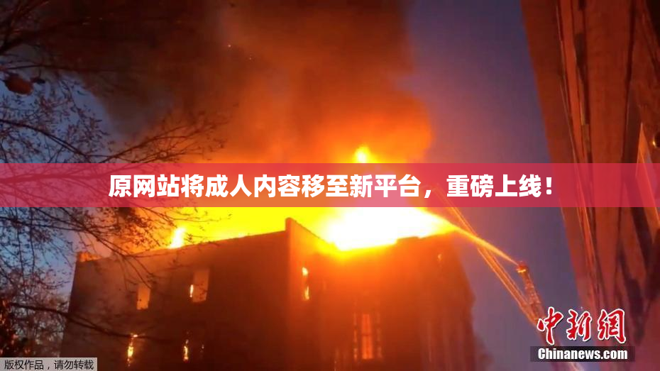 原网站将成人内容移至新平台，重磅上线！