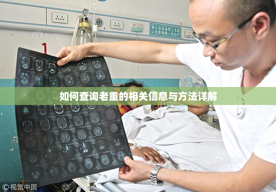 如何查询老重的相关信息与方法详解