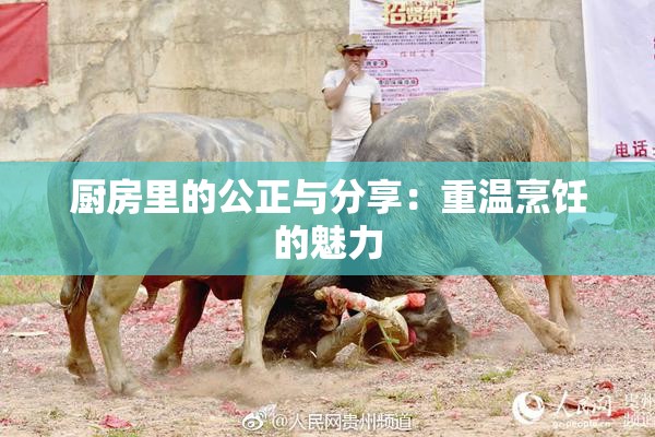 厨房里的公正与分享：重温烹饪的魅力
