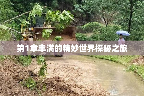 第1章丰满的精妙世界探秘之旅