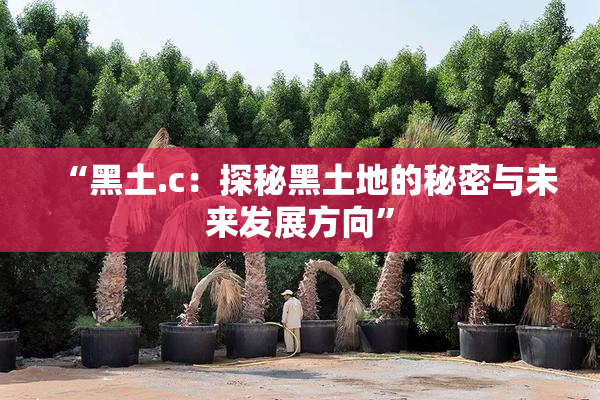 “黑土.c：探秘黑土地的秘密与未来发展方向”