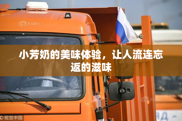 小芳奶的美味体验，让人流连忘返的滋味