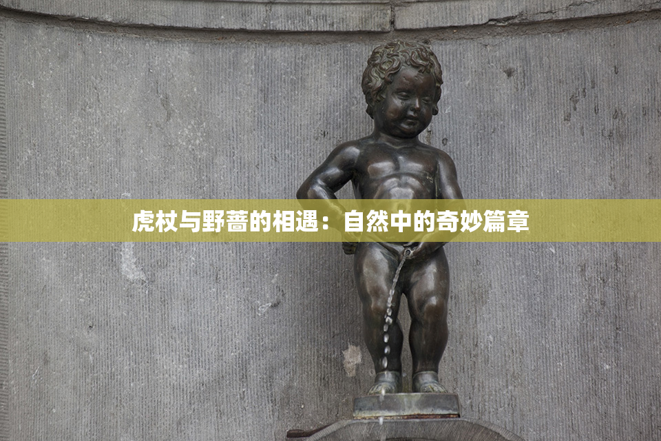 虎杖与野蔷的相遇：自然中的奇妙篇章