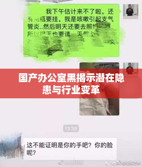 国产办公室黑揭示潜在隐患与行业变革