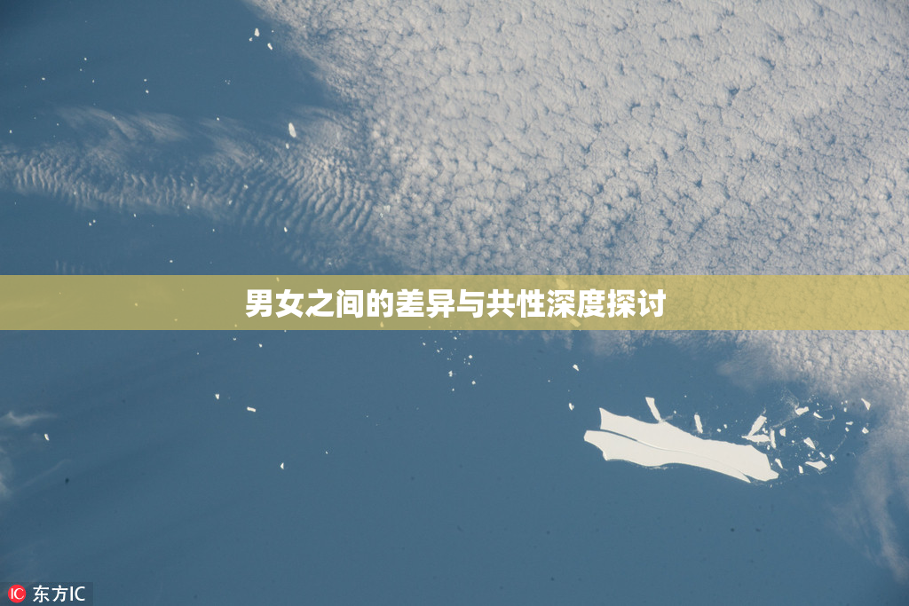男女之间的差异与共性深度探讨