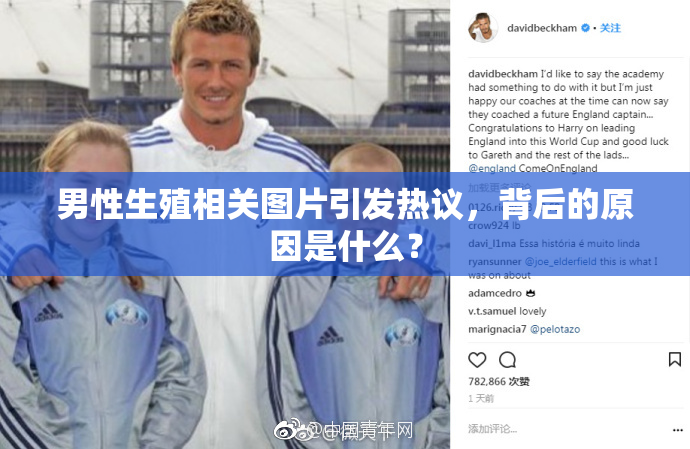 男性生殖相关图片引发热议，背后的原因是什么？