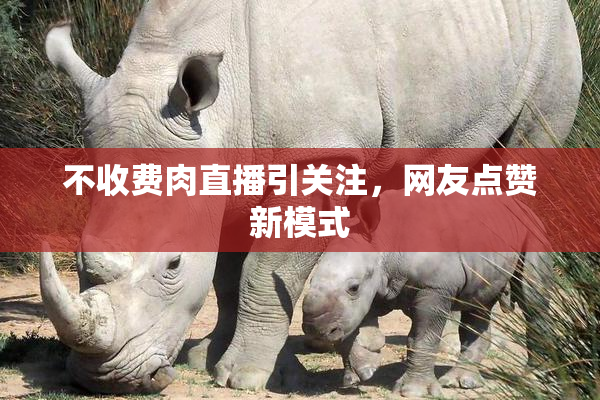 不收费肉直播引关注，网友点赞新模式