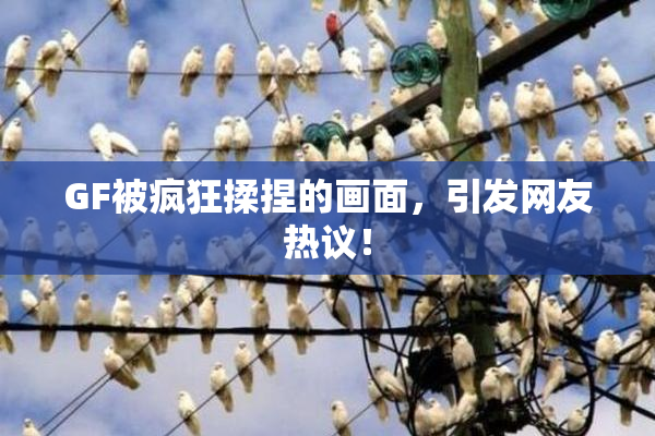 GF被疯狂揉捏的画面，引发网友热议！