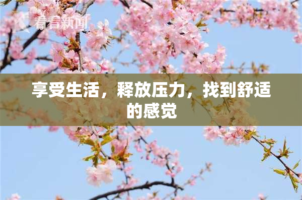 享受生活，释放压力，找到舒适的感觉