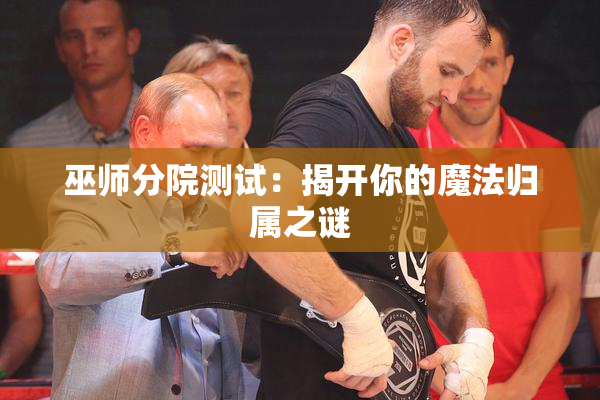 巫师分院测试：揭开你的魔法归属之谜