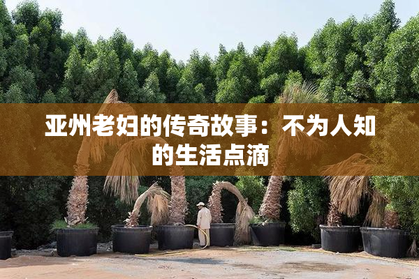 亚州老妇的传奇故事：不为人知的生活点滴