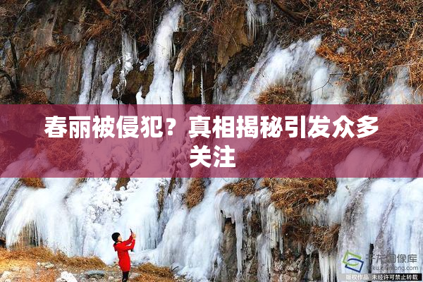 春丽被侵犯？真相揭秘引发众多关注