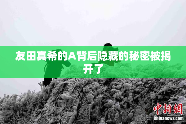 友田真希的A背后隐藏的秘密被揭开了