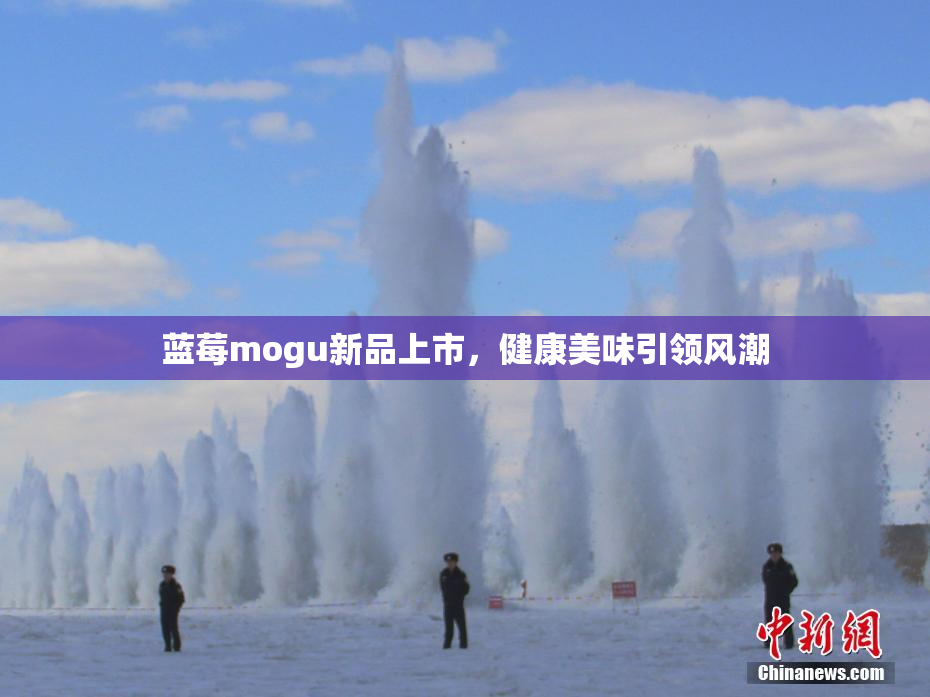 蓝莓mogu新品上市，健康美味引领风潮