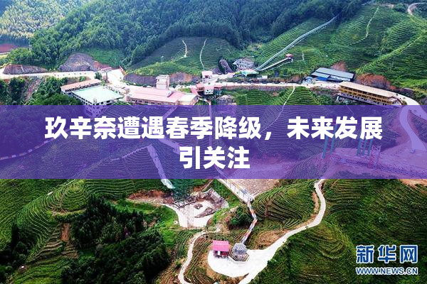 玖辛奈遭遇春季降级，未来发展引关注