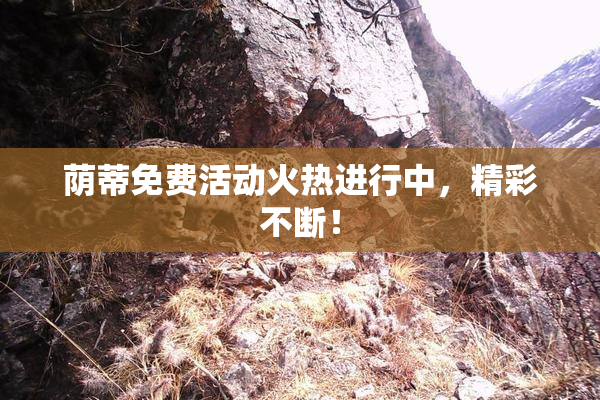 荫蒂免费活动火热进行中，精彩不断！