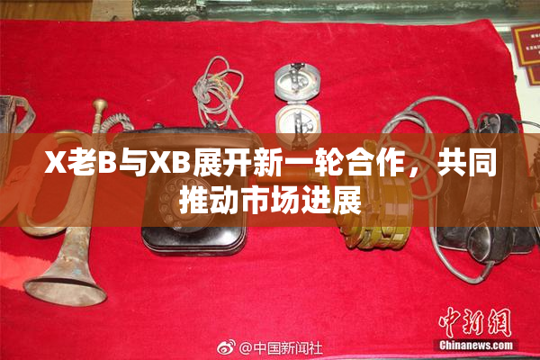 X老B与XB展开新一轮合作，共同推动市场进展