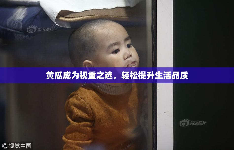 黄瓜成为视重之选，轻松提升生活品质
