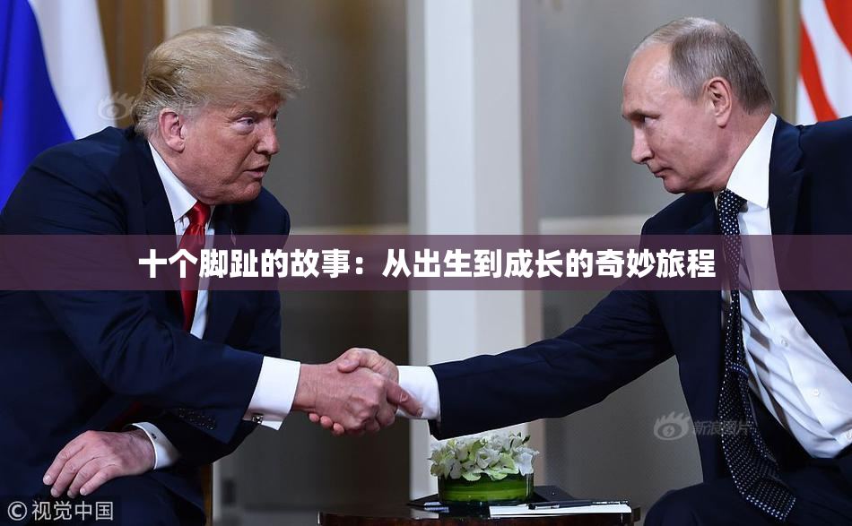 十个脚趾的故事：从出生到成长的奇妙旅程