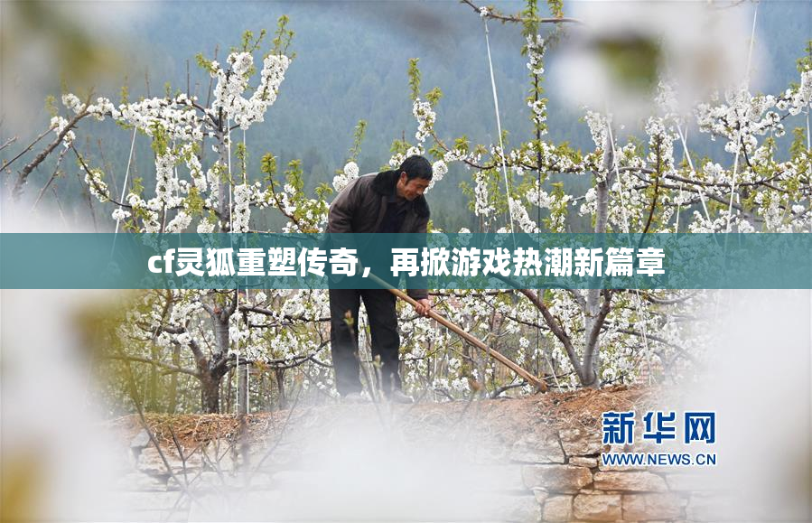 cf灵狐重塑传奇，再掀游戏热潮新篇章
