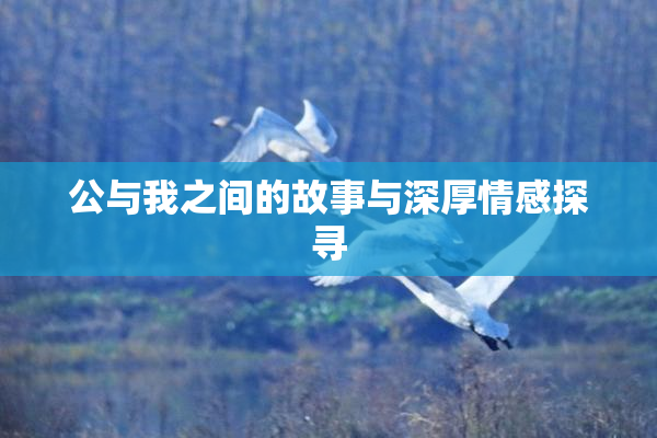 公与我之间的故事与深厚情感探寻