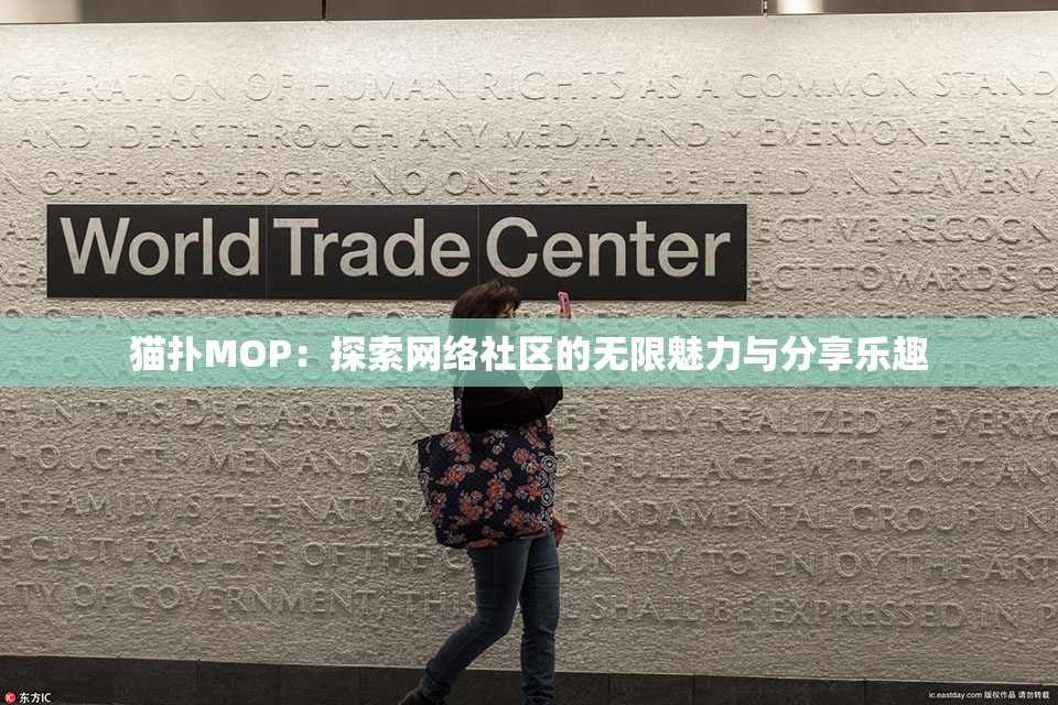 猫扑MOP：探索网络社区的无限魅力与分享乐趣