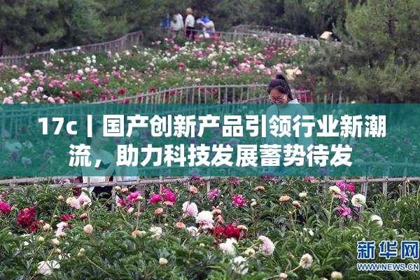 17c丨国产创新产品引领行业新潮流，助力科技发展蓄势待发