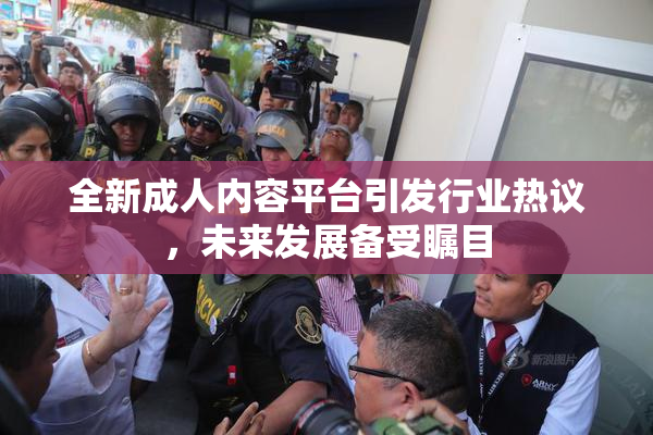 全新成人内容平台引发行业热议，未来发展备受瞩目