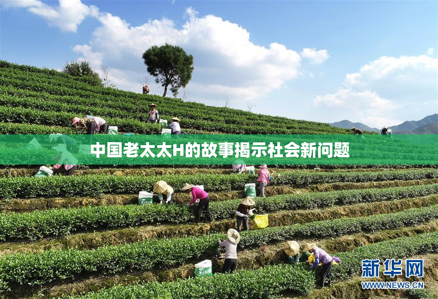 中国老太太H的故事揭示社会新问题