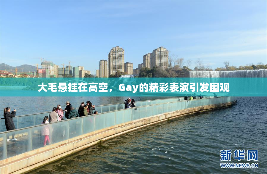 大毛悬挂在高空，Gay的精彩表演引发围观