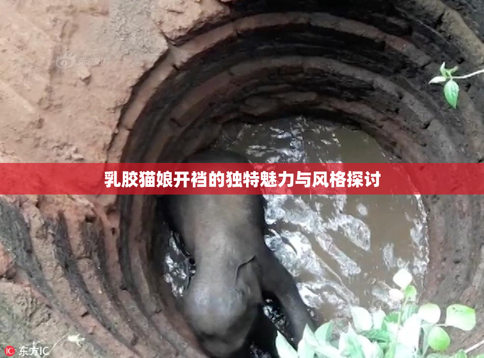 乳胶猫娘开裆的独特魅力与风格探讨