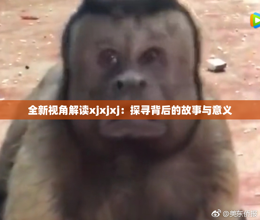 全新视角解读xjxjxj：探寻背后的故事与意义